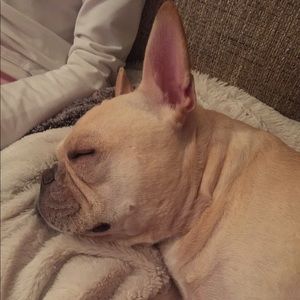 Meet your Posher, Kelly